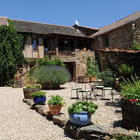 Chambres D'Hotes Le Puits D'Amour Mirandol-Bourgnounac Экстерьер фото